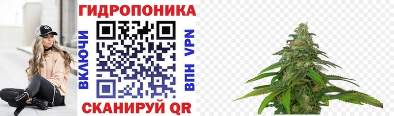как найти закладки  Тарко-Сале  Каннабис сатива 